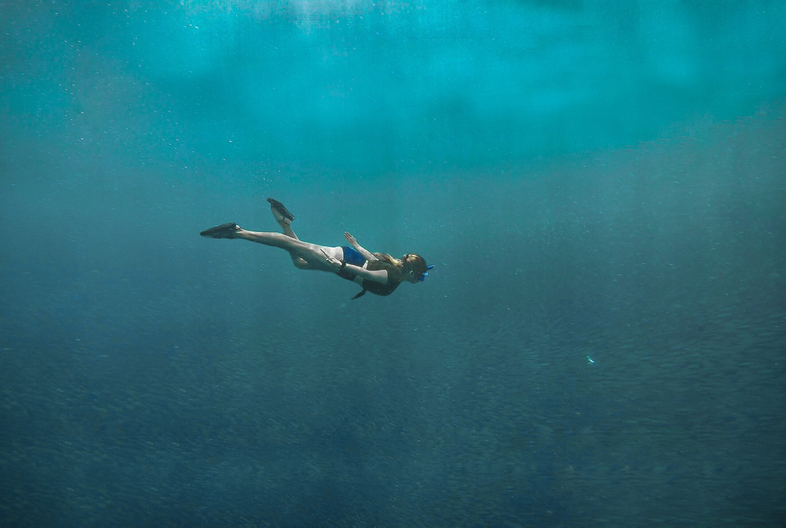 κατάστημα καταδυτικού εξοπλισμού -κατάστημα καταδυτικού εξοπλισμού pexels photo 2403531